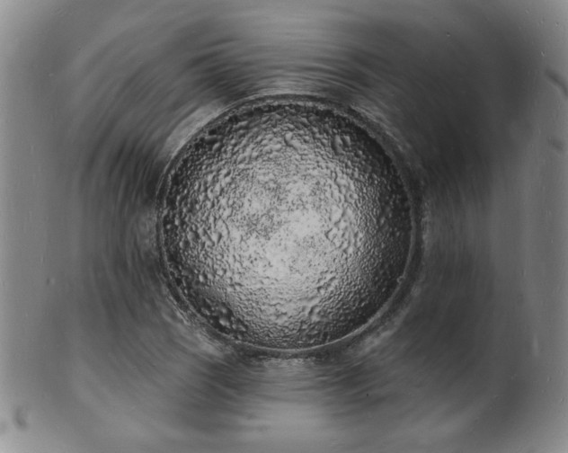 X0000101691121200807101506