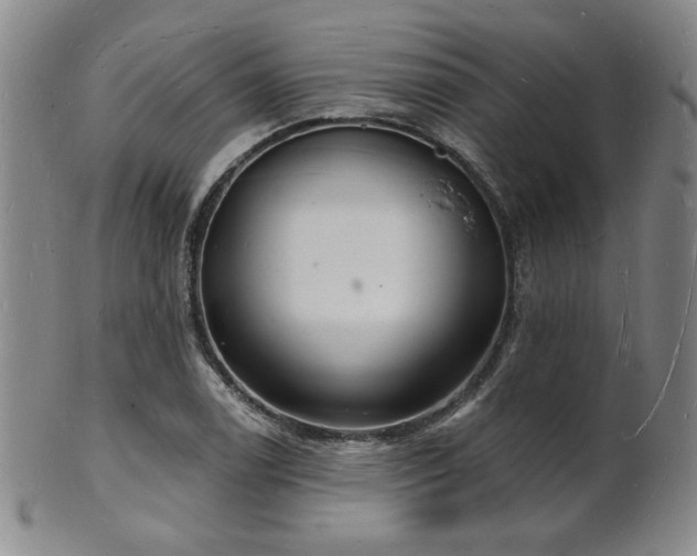 X0000101691122200807101506