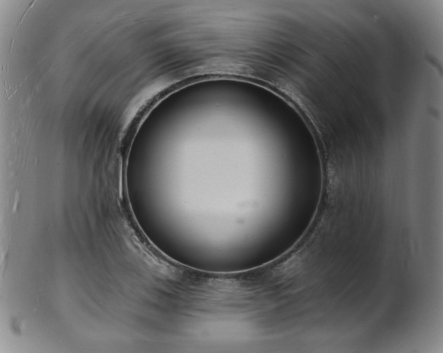 X0000101691123200807101506