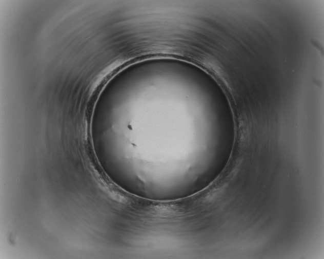 X0000101691125200807101507