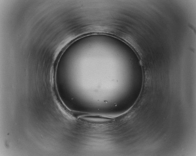 X0000101691128200807101507