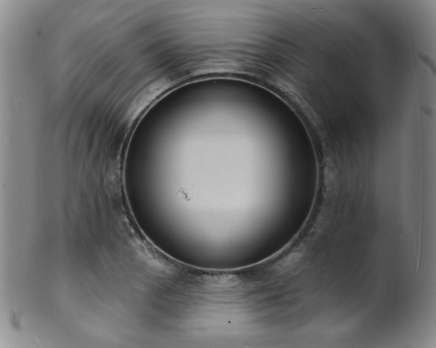 X0000101691129200807101507