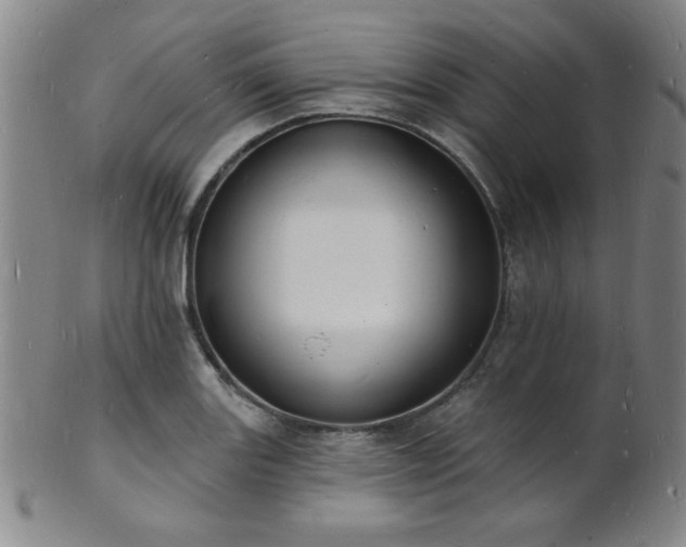 X0000101691131200807101507