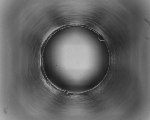 X0000101691132200807101507