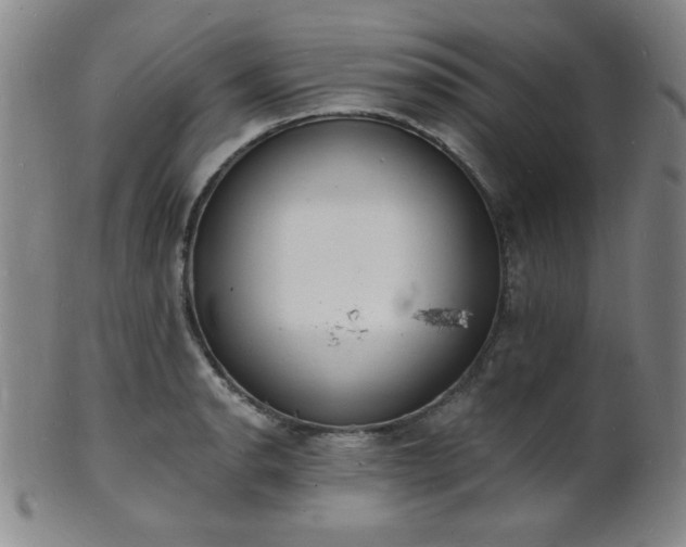 X0000101691134200807101507