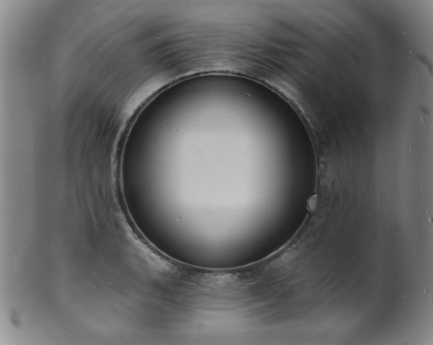 X0000101691135200807101507