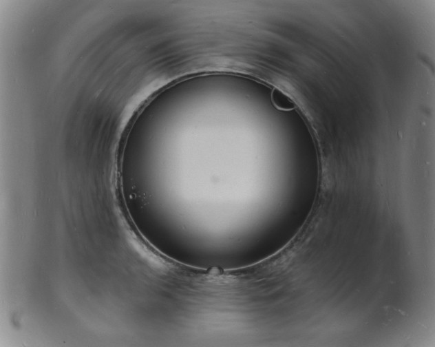 X0000101691136200807101507