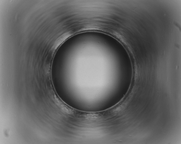 X0000101691137200807101507