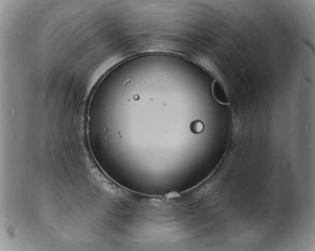 X0000101691138200807101507