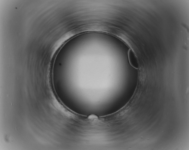 X0000101691139200807101507