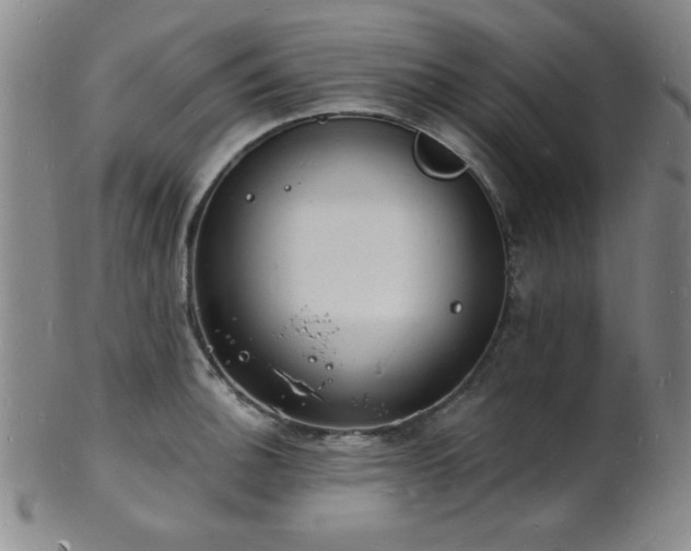 X0000101691140200807101507