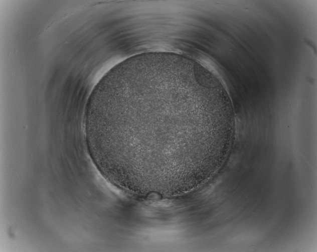 X0000101691141200807101507