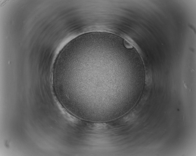 X0000101691144200807101507