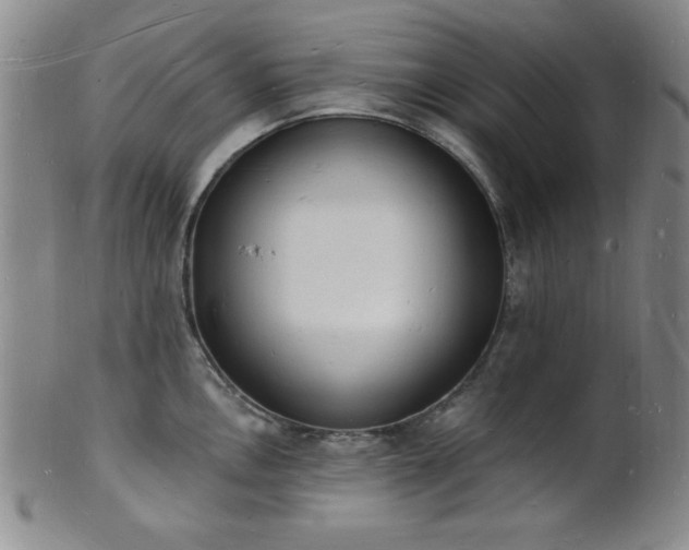 X0000101691146200807101507