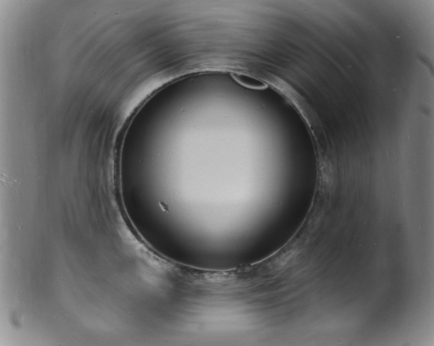 X0000101691147200807101507