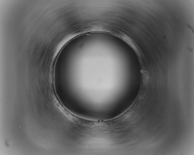 X0000101691148200807101507