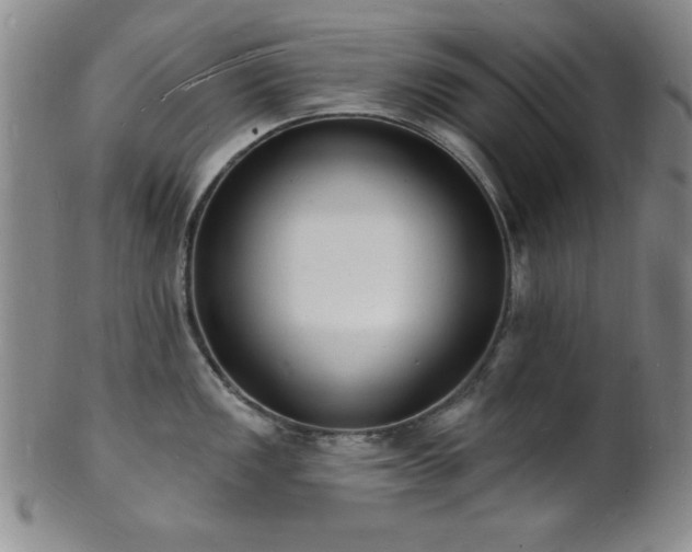 X0000101691149200807101507