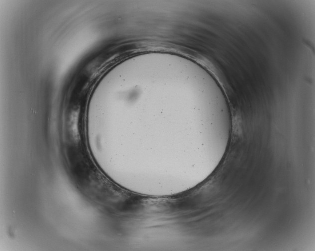 X0000101691150200807101507