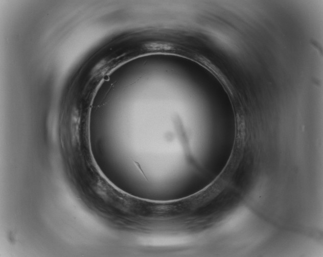 X0000101691151200807101507