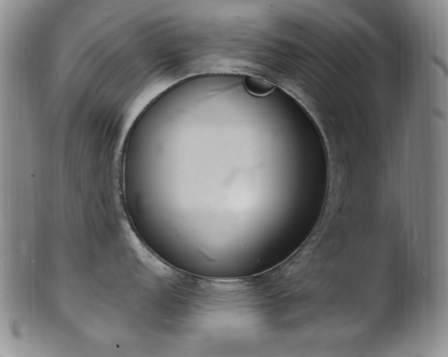 X0000101691152200807101507