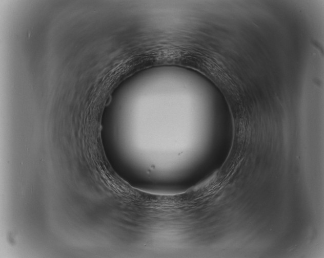 X0000101691153200807101506