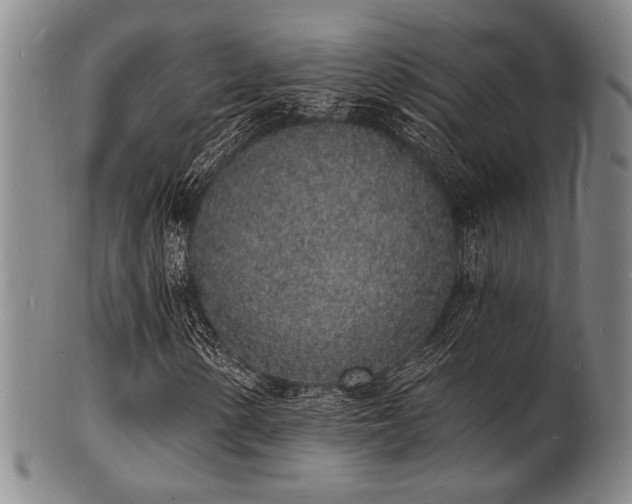 X0000101691154200807101506