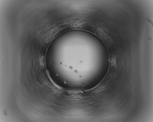 X0000101691156200807101506