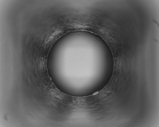 X0000101691157200807101506