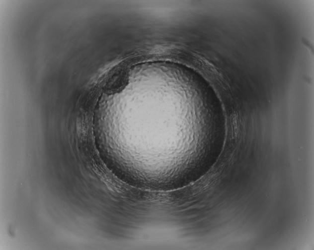 X0000101691158200807101506