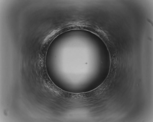 X0000101691159200807101506