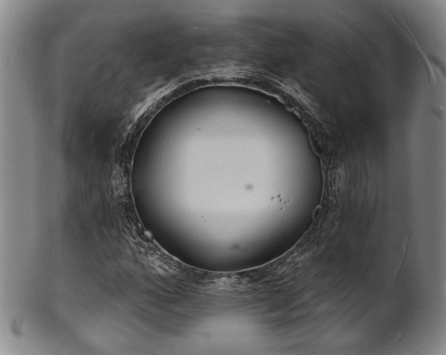 X0000101691160200807101506