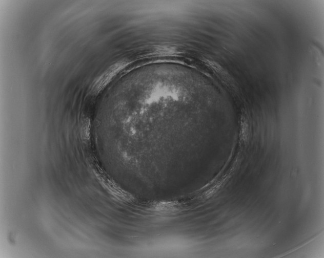 X0000101691161200807101506