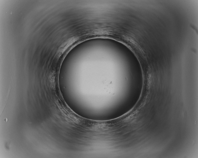 X0000101691162200807101506