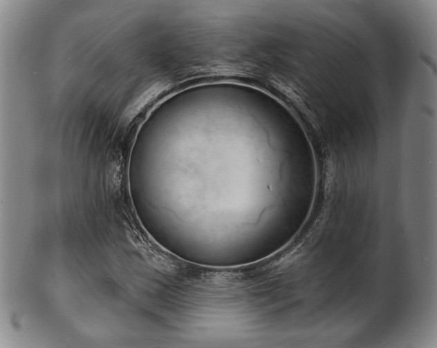 X0000101691163200807101506