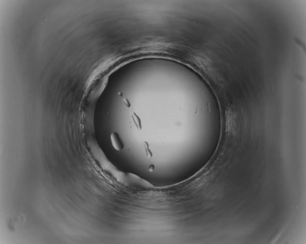 X0000101691164200807101506
