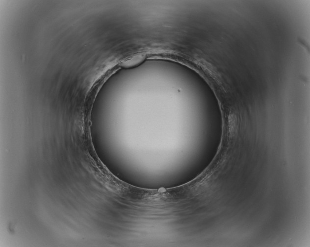 X0000101691165200807101506