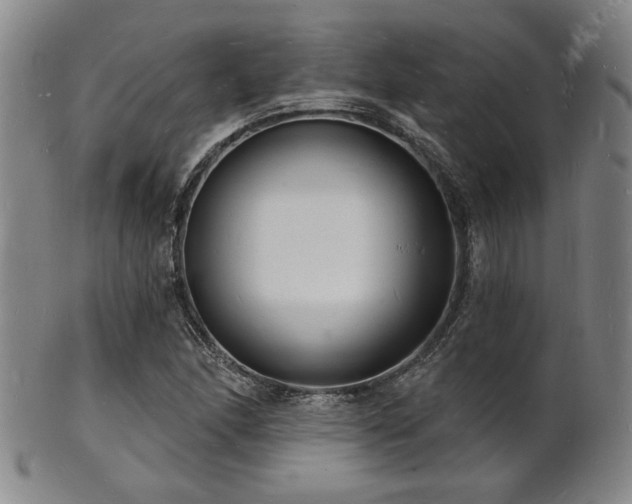 X0000101691166200807101506
