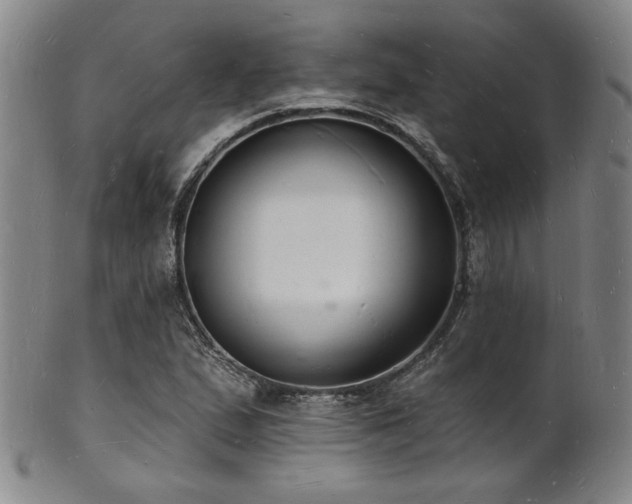 X0000101691167200807101506