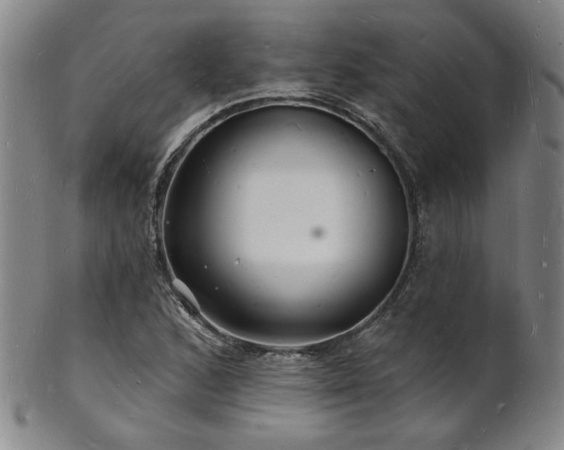 X0000101691168200807101506