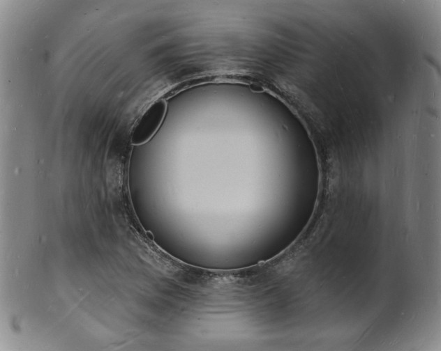 X0000101691169200807101506