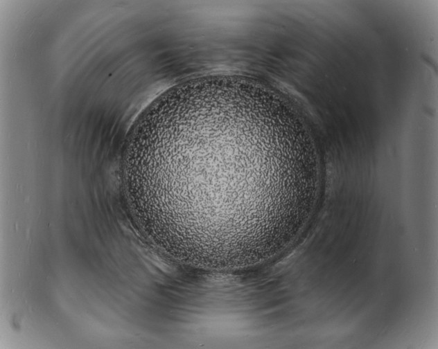 X0000101691170200807101506