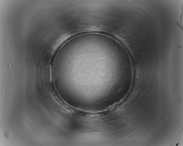 X0000101691171200807101506