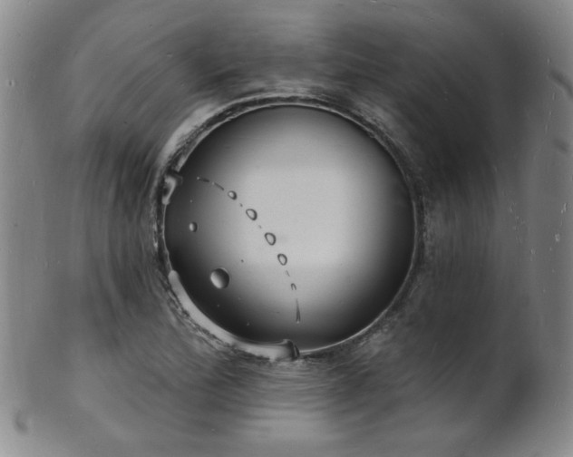 X0000101691172200807101506