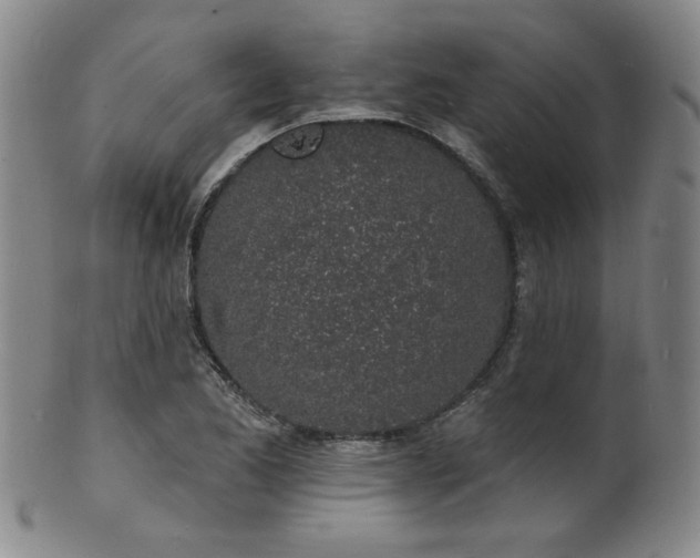 X0000101691173200807101506