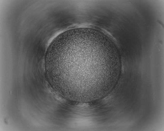 X0000101691174200807101506