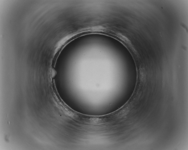 X0000101691176200807101506