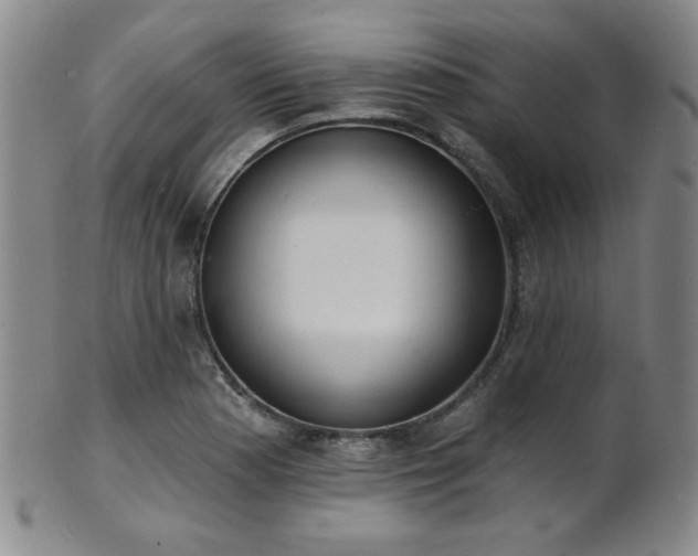 X0000101691177200807101506