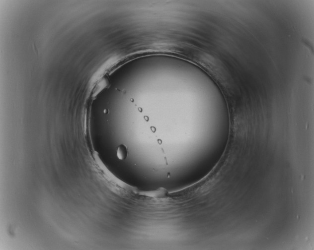 X0000101691180200807101506