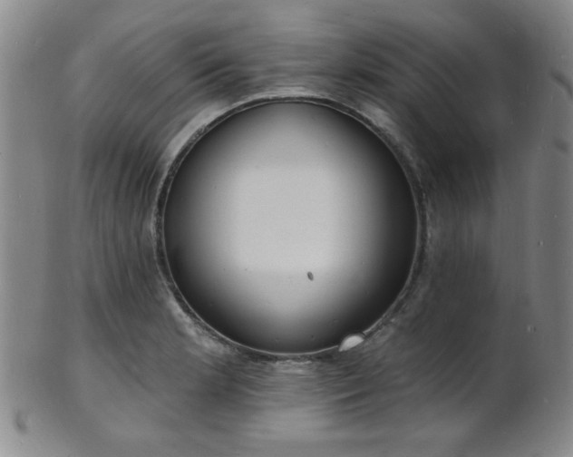 X0000101691181200807101506