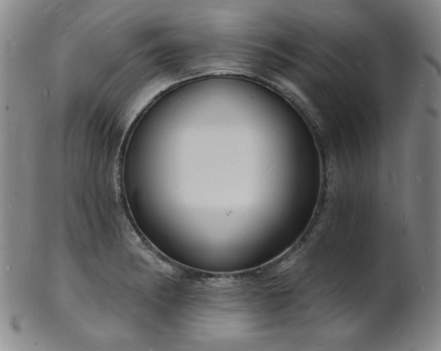 X0000101691182200807101506